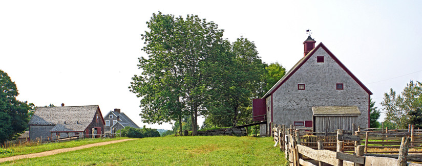 small farm agriculture environment