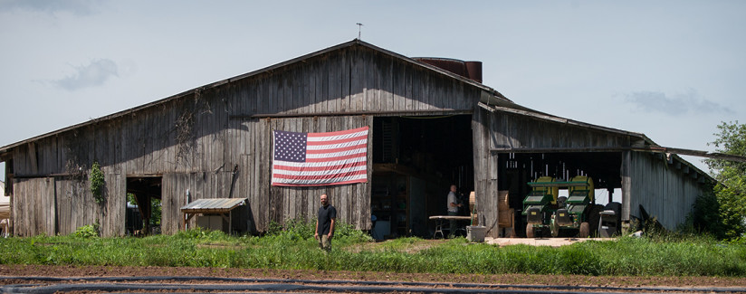 eliminating farm subsidies reduce obesity