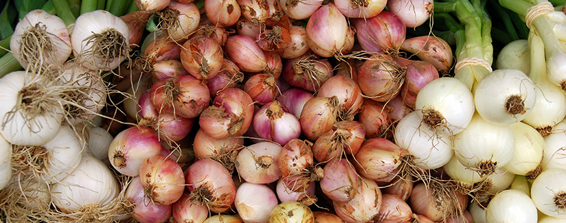 Onions Cure Flu
