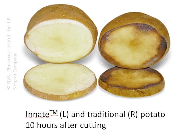 Potatoes: As of May 15, 2014, there are no GMO potatoes available for consumer purchase, but they are being tested. The variety on the left is GMO, the one on the right is non-GMO. The GMO (Innate™) version is a non-browning variety.