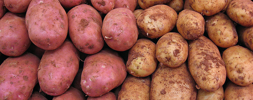 What S That Little Brown Mark Inside Potatoes Bestfoodfacts Org