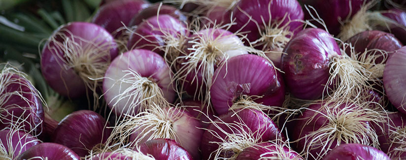 Onions for Healthy Hair and Scalp? 