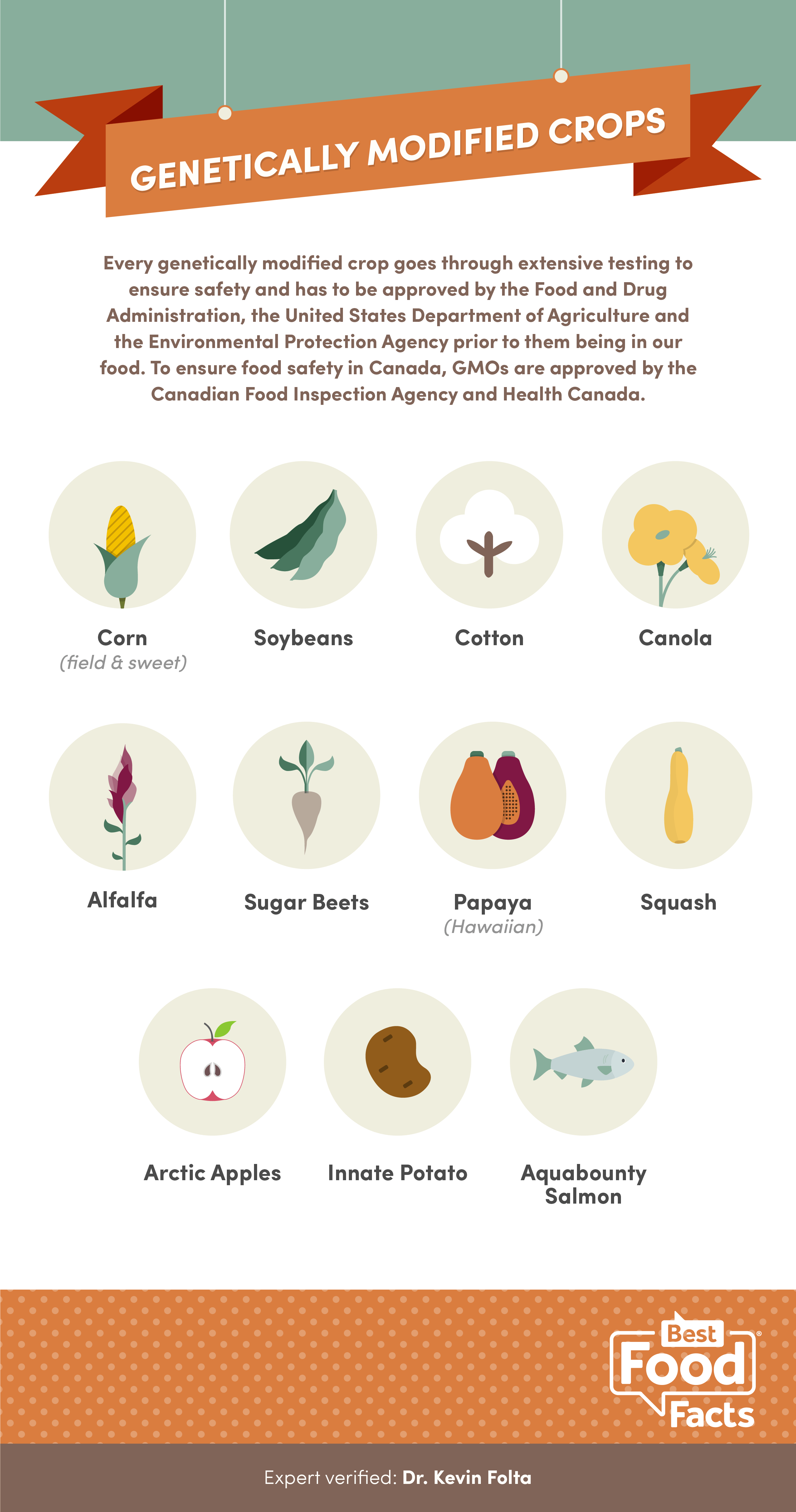 What are GM crops and how is it done?