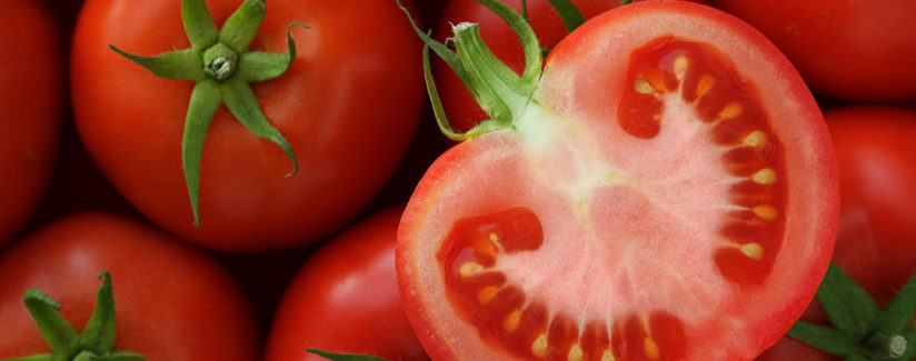 Best-Food-Facts-Tomatoes-in-the-Refrigerator