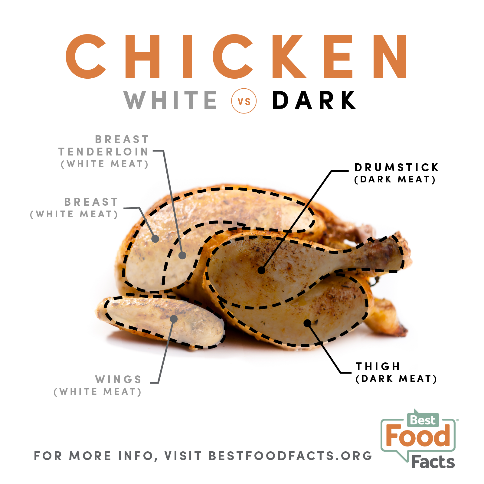 Difference Between Chicken And Turkey Meat at andyccromero blog