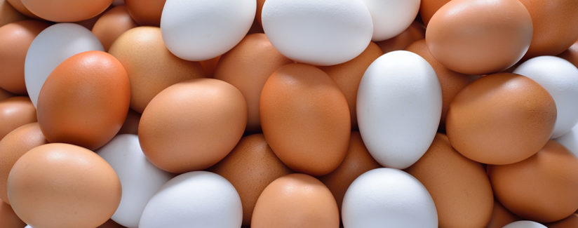 brown and white eggs