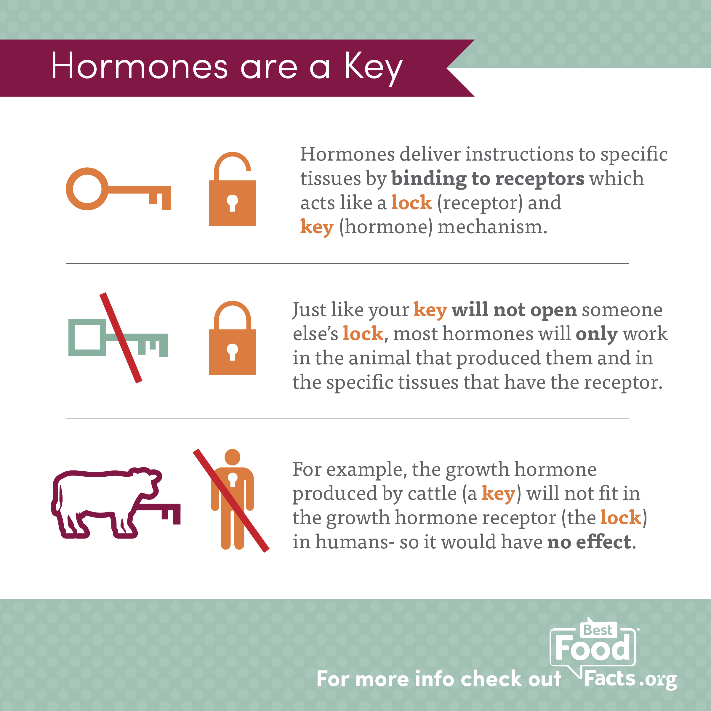 Are There Hormones in My Food? Part 1 