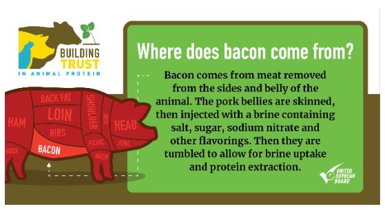 How Is Bacon Produced? 